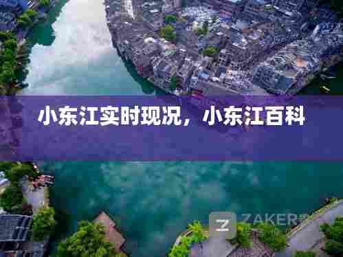 小东江实时现况，小东江百科 