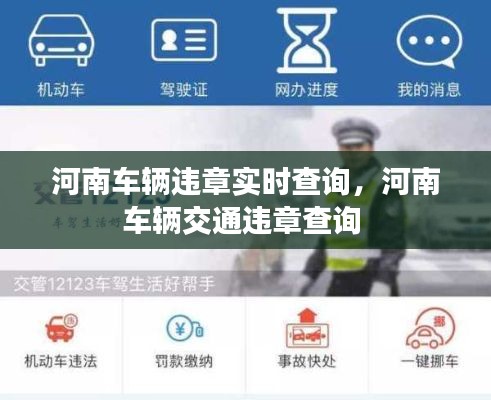 河南车辆违章实时查询，河南车辆交通违章查询 