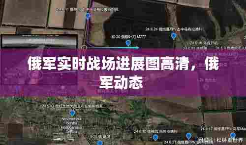 俄军实时战场进展图高清，俄军动态 
