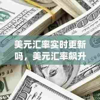 美元汇率实时更新吗，美元汇率飙升 