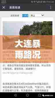 大连暴雨路况实时公布，大连暴雨路况实时公布查询 