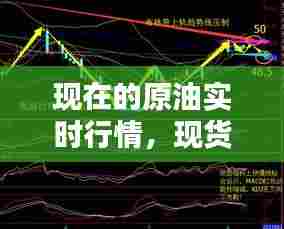 现在的原油实时行情，现货原油实时行情 