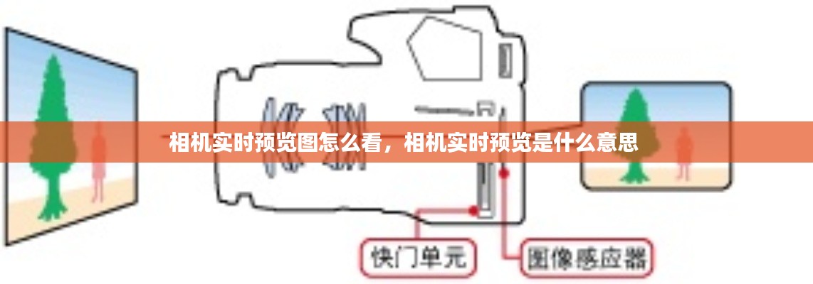 相机实时预览图怎么看，相机实时预览是什么意思 
