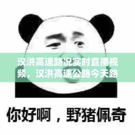 汉洪高速路况实时直播视频,汉洪高速公路今天路况