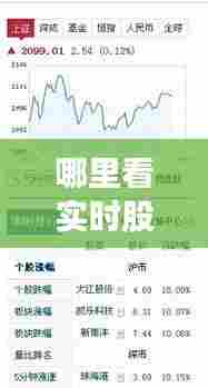 哪里看实时股价，我想看实时股价 