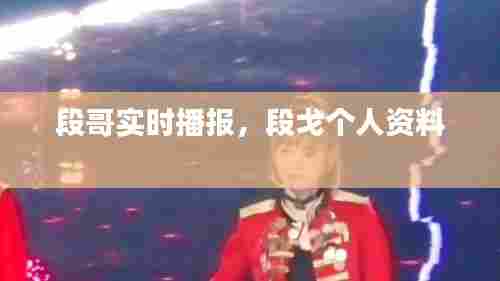 案例展示 第390页