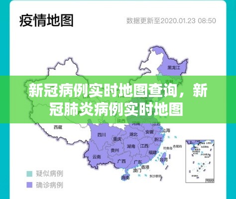 新冠病例实时地图查询，新冠肺炎病例实时地图 