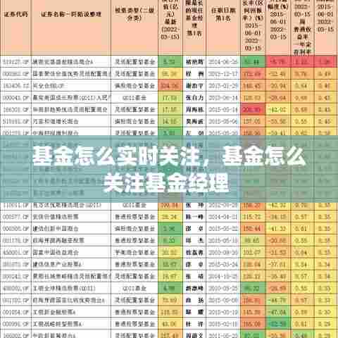 基金怎么实时关注，基金怎么关注基金经理 