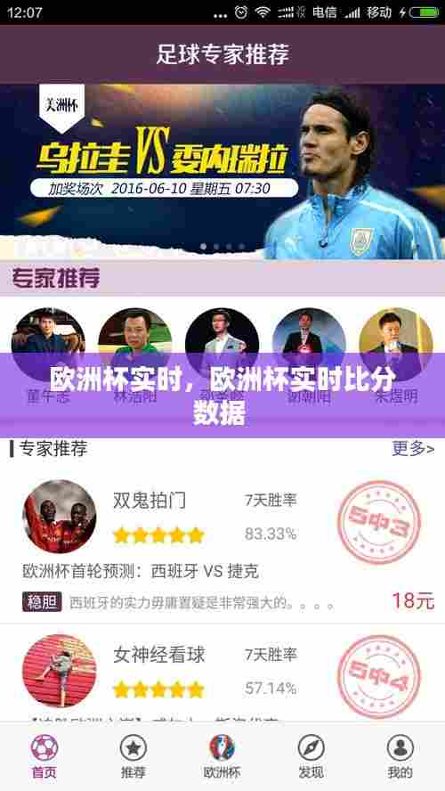 欧洲杯实时,欧洲杯实时比分数据