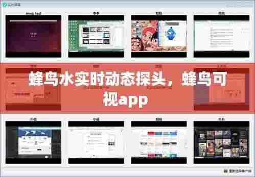 蜂鸟水实时动态探头,蜂鸟可视app