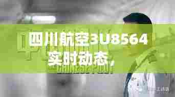 四川航空3U8564实时动态,