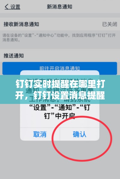 钉钉实时提醒在哪里打开，钉钉设置消息提醒时间 