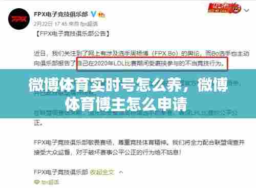 服务项目 第389页