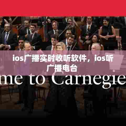 案例展示 第389页