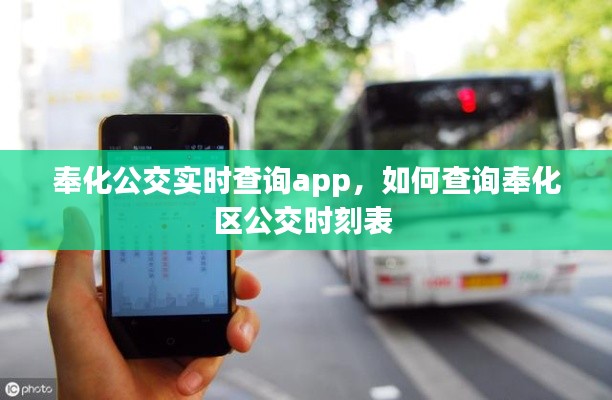 奉化公交实时查询app,如何查询奉化区公交时刻表