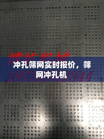冲孔筛网实时报价，筛网冲孔机 