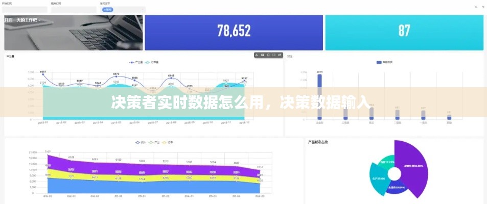决策者实时数据怎么用，决策数据输入 