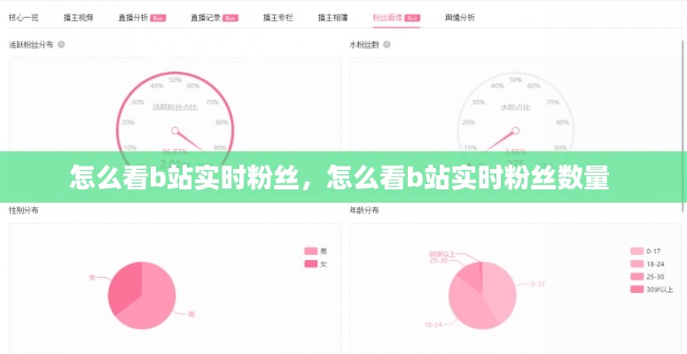 怎么看b站实时粉丝，怎么看b站实时粉丝数量 