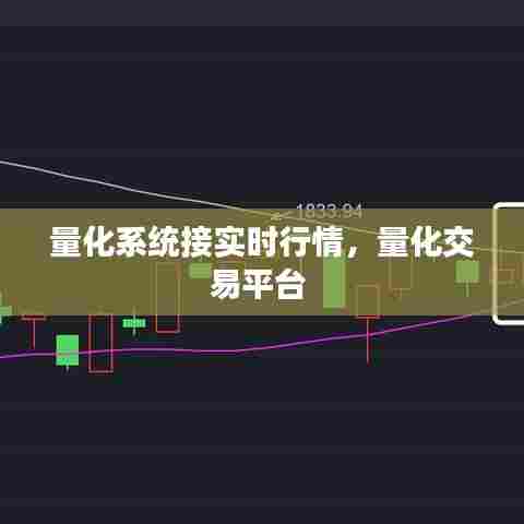 量化系统接实时行情，量化交易平台 
