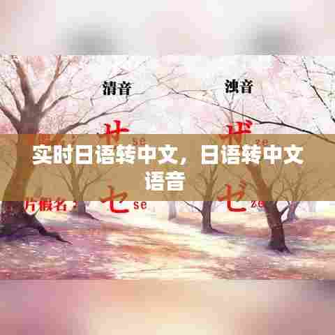 实时日语转中文，日语转中文语音 