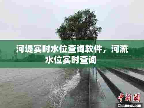 河堤实时水位查询软件，河流水位实时查询 