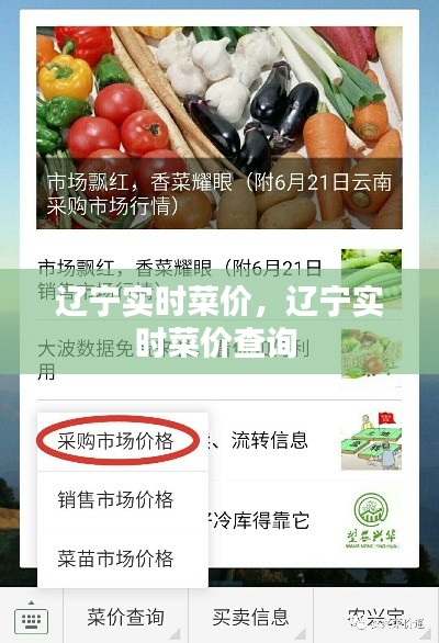辽宁实时菜价,辽宁实时菜价查询