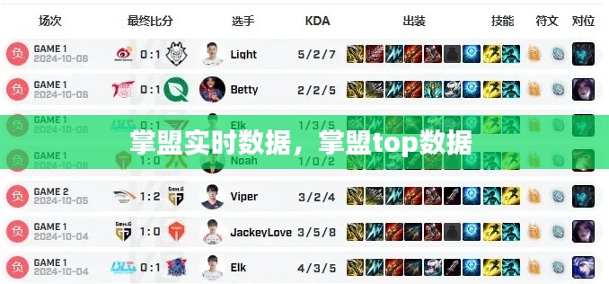 掌盟实时数据，掌盟top数据 