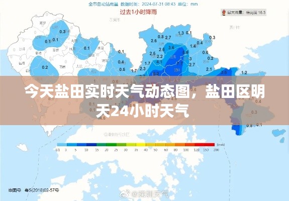 今天盐田实时天气动态图,盐田区明天24小时天气