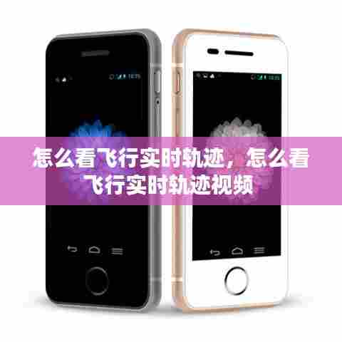 案例展示 第387页