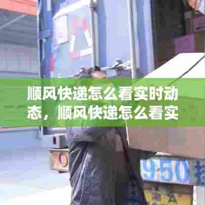 顺风快递怎么看实时动态，顺风快递怎么看实时动态信息 