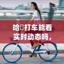 哈啰打车能看实时动态吗，哈啰打车能看实时动态吗怎么看 