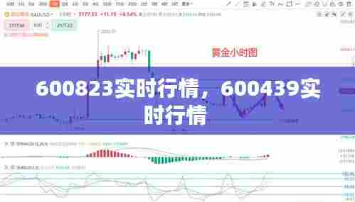 600823实时行情,600439实时行情