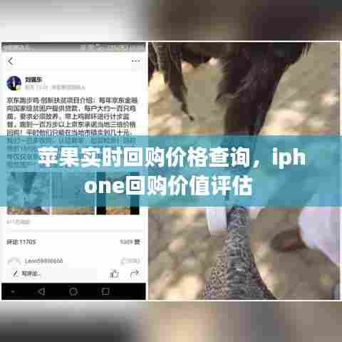 苹果实时回购价格查询，iphone回购价值评估 