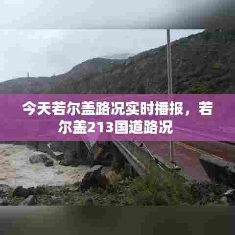今天若尔盖路况实时播报,若尔盖213国道路况