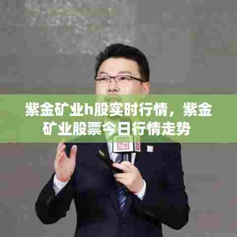 紫金矿业h股实时行情，紫金矿业股票今日行情走势 