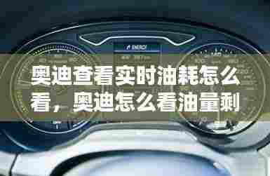 奥迪查看实时油耗怎么看，奥迪怎么看油量剩余公里 