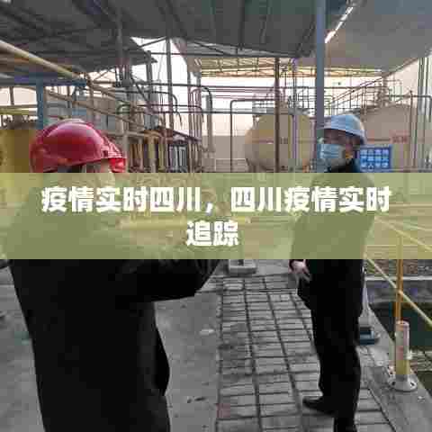 疫情实时四川，四川疫情实时追踪 