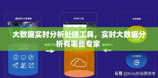 大数据实时分析处理工具，实时大数据分析有哪些专家 