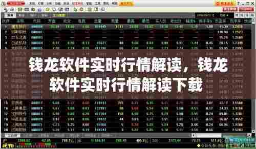 钱龙软件实时行情解读，钱龙软件实时行情解读下载 