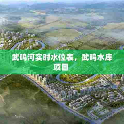 武鸣河实时水位表,武鸣水库项目