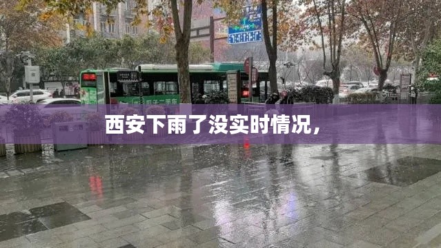 西安下雨了没实时情况， 