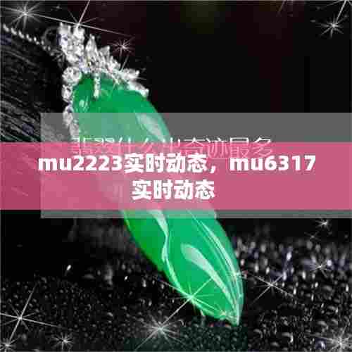 mu2223实时动态,mu6317实时动态