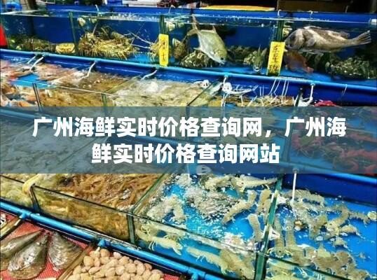 广州海鲜实时价格查询网，广州海鲜实时价格查询网站 