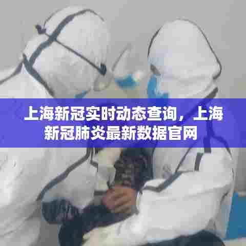 上海新冠实时动态查询，上海新冠肺炎最新数据官网 
