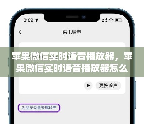 苹果微信实时语音播放器，苹果微信实时语音播放器怎么设置 