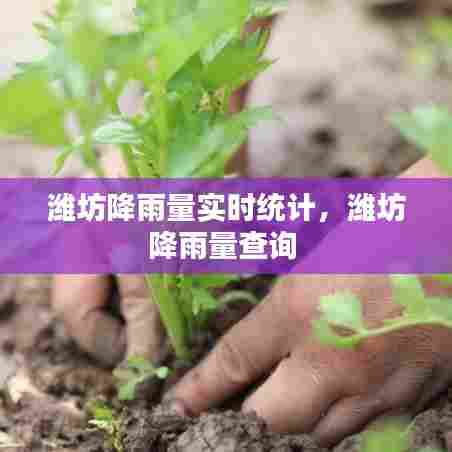 潍坊降雨量实时统计，潍坊降雨量查询 