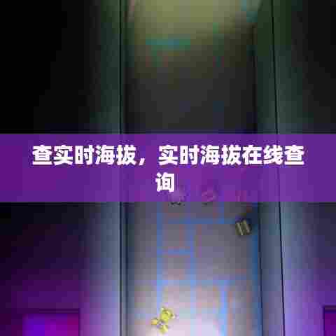 查实时海拔，实时海拔在线查询 