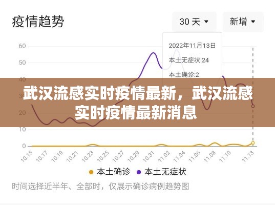 武汉流感实时疫情最新，武汉流感实时疫情最新消息 