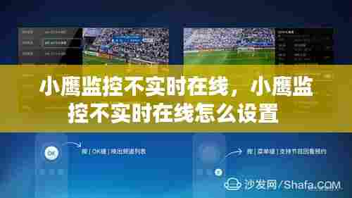 小鹰监控不实时在线，小鹰监控不实时在线怎么设置 