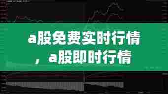 a股免费实时行情，a股即时行情 